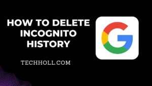 How to delete Incognito history